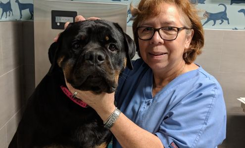 Prince George's Animal Hospital