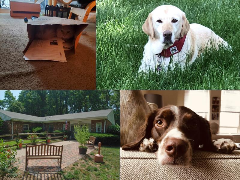 Greater Annapolis Veterinary Hospital