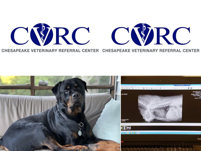 Chesapeake Veterinary Referral Center - Columbia