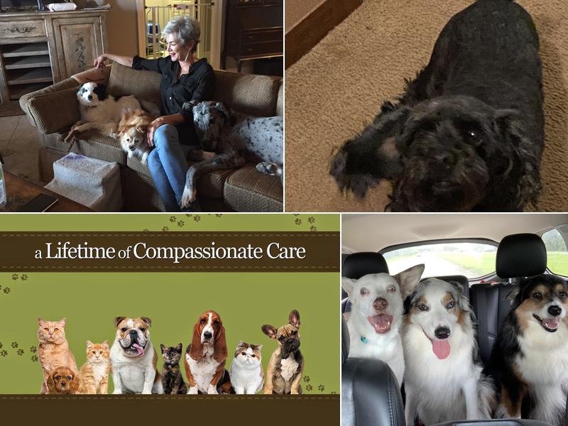 Acadiana Veterinary Clinic