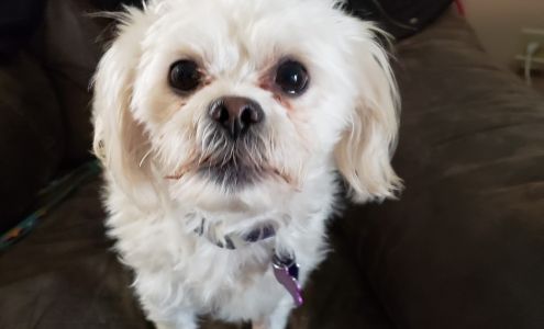 Jersey-Calhoun Veterinary Hospital 1201 S State St, Jerseyville Illinois 62052