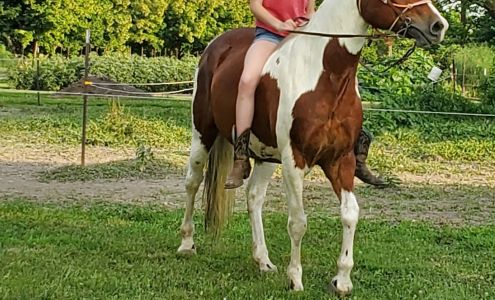 Ghrist Vet Clinic Carrollton