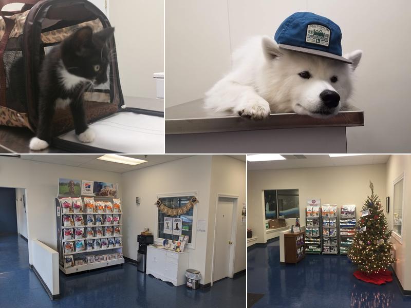 Somerville Veterinary Center