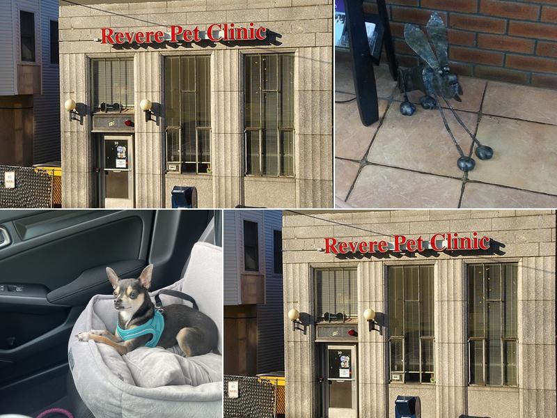 Revere Pet Clinic