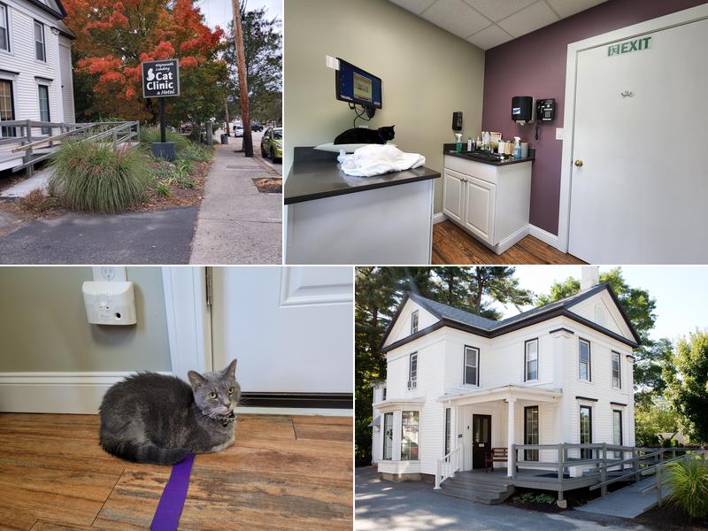 Weymouth Landing Cat Clinic & Hotel