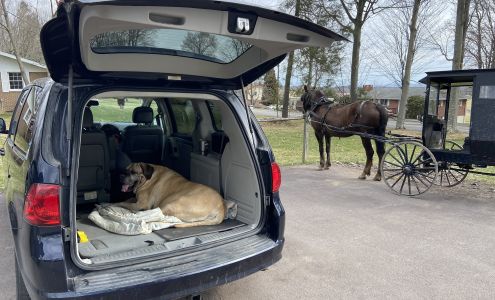 Casselman Veterinary Services