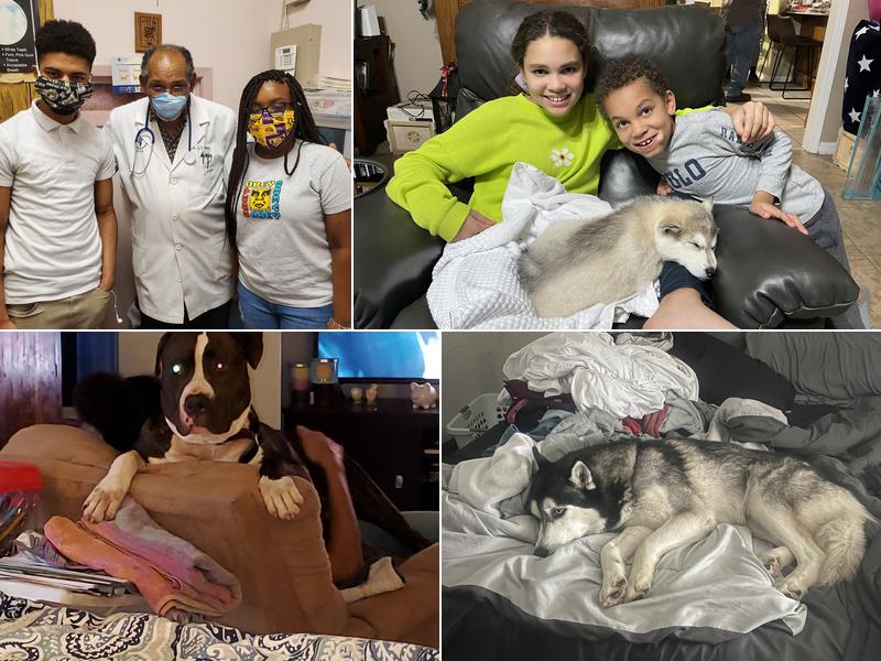 Plank Road Animal Hospital