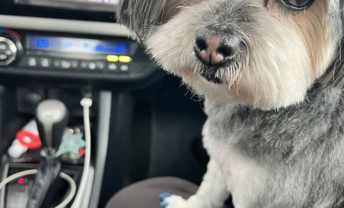 Crossroads Animal Hospital Central