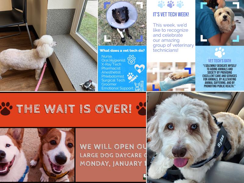 Kleinpeter Veterinary Hospital