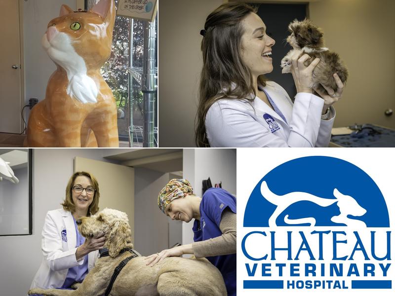 Chateau Veterinary Hospital: Nix Violet DVM