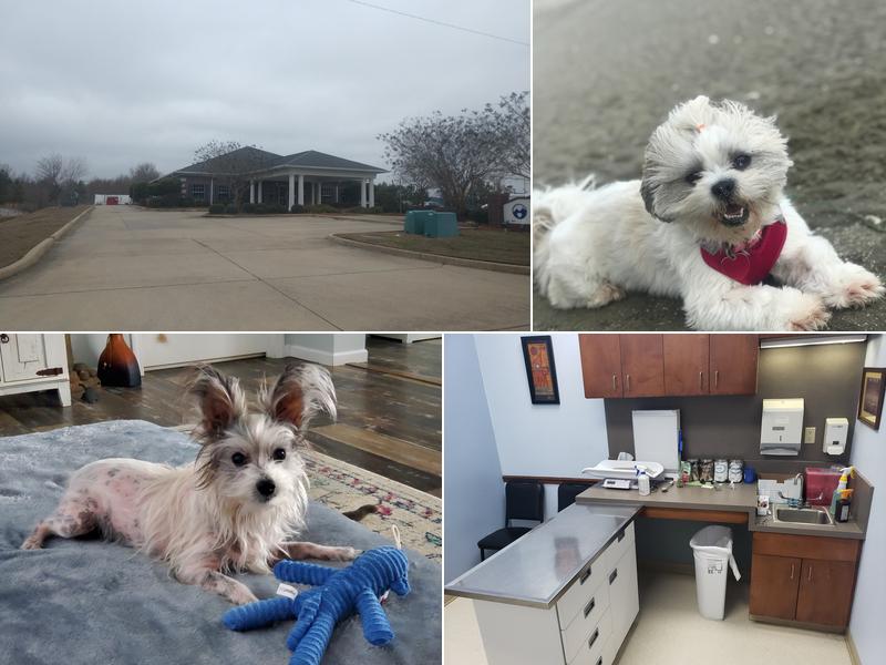 Animal Hospital of West Monroe