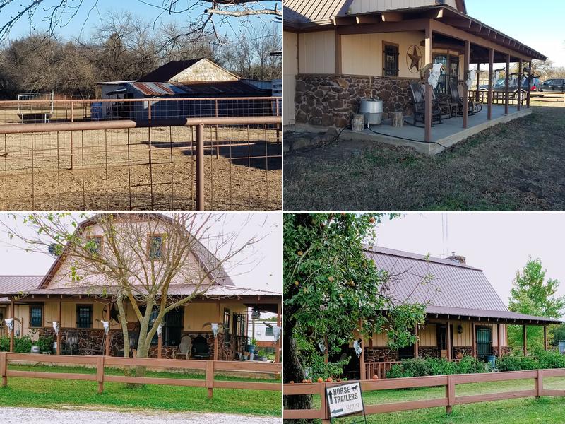 Hayes Equine Vet Services