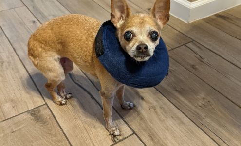 Nottingham Animal Clinic