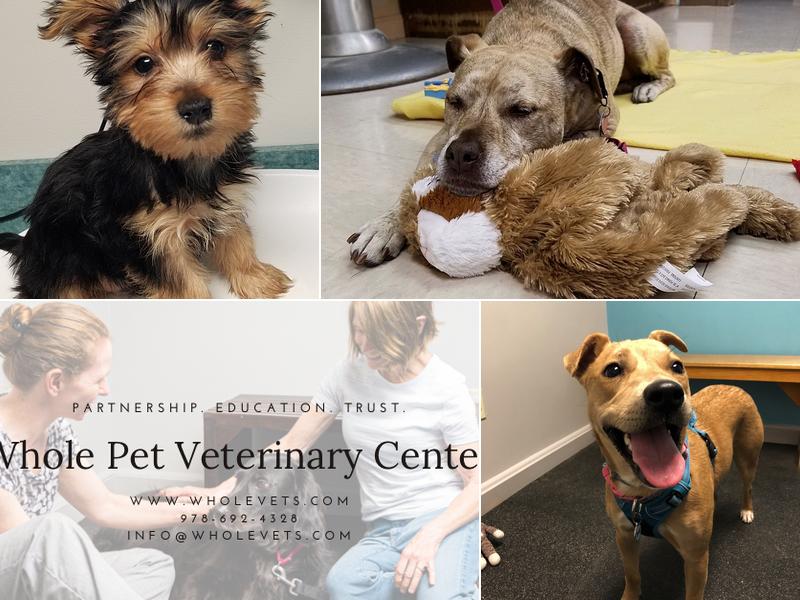 Whole Pet Veterinary Center