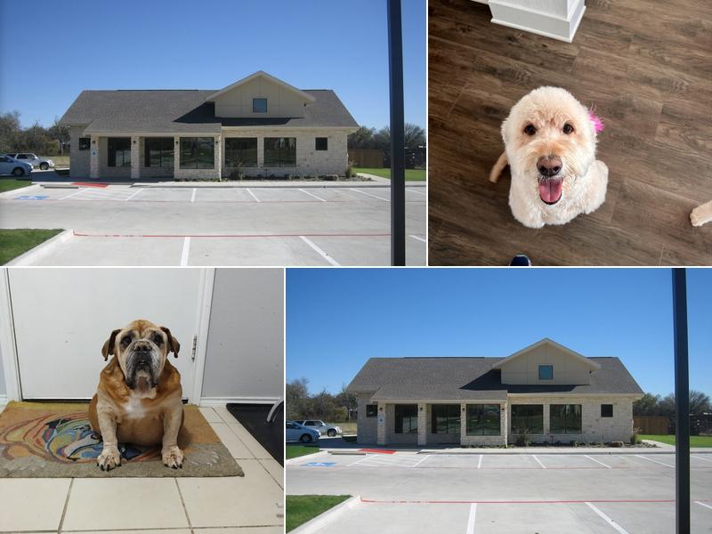 Animal Hospital of Melissa