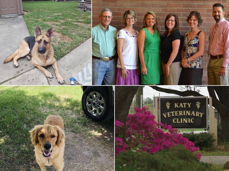 Katy Veterinary Clinic