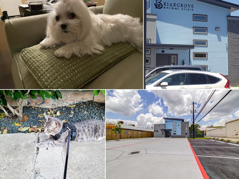 Briargrove Animal Clinic