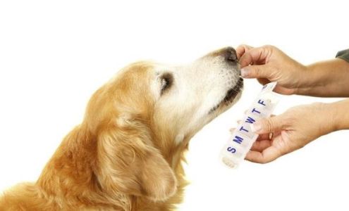 Forest West Animal Clinic