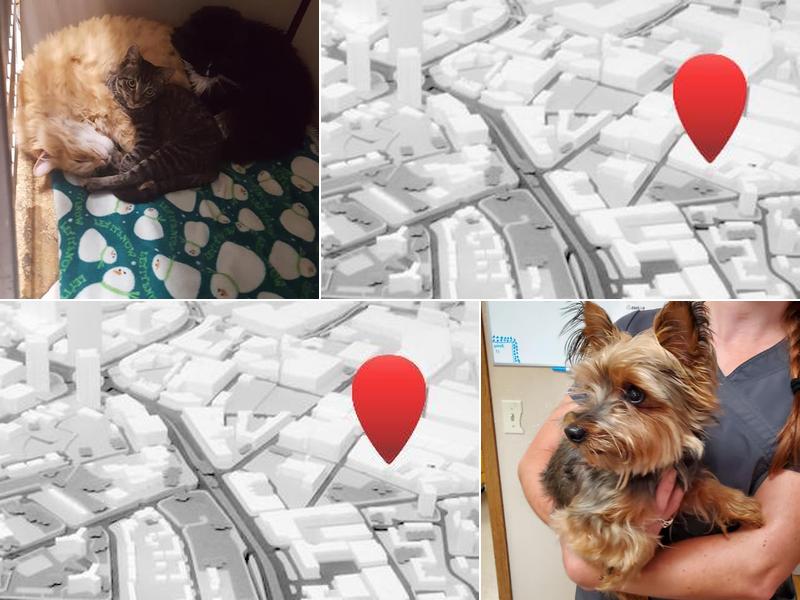 Marley Veterinary Clinic: Zeigler Sarah DVM