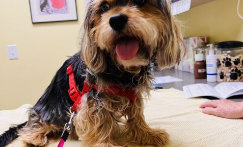 Deer Creek Veterinary Hospital Wamego