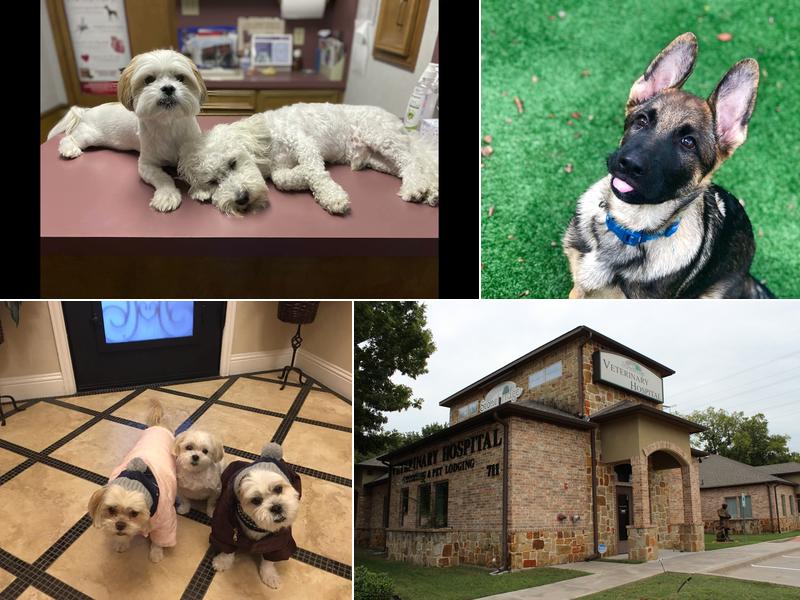 Stonebridge Veterinary Hospital