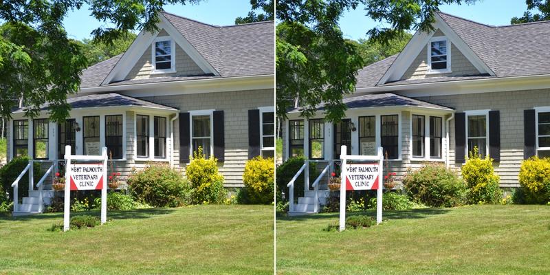 West Falmouth Veterinary Clinic: Gordon Olmsted DVM