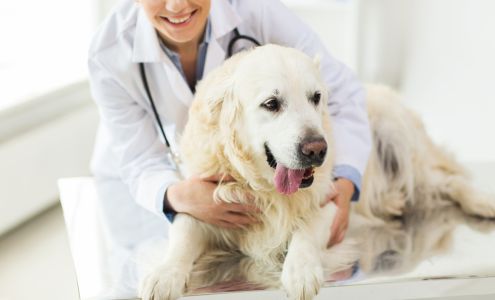 Lakeville Animal Hospital