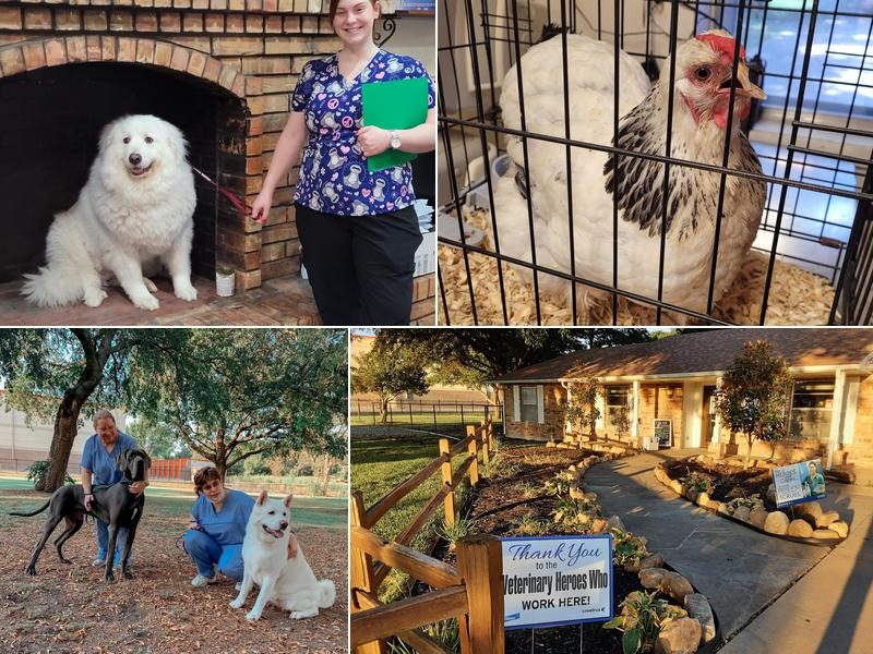 Meadow Brook Animal Hospital