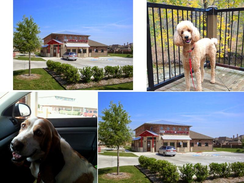 Country Creek Animal Hospital