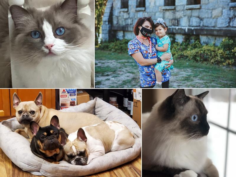 Attleboro Veterinary Clinic