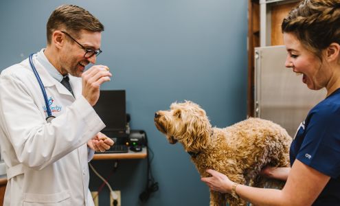 Old Derby Animal Hospital