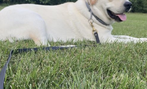 Norwell Veterinary Hospital