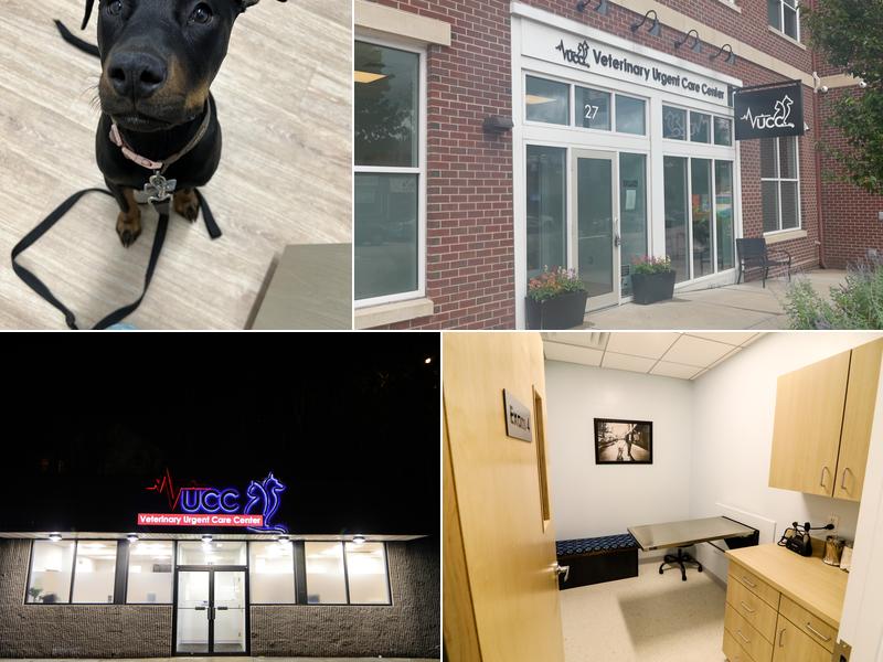 Veterinary Urgent Care Center - Braintree