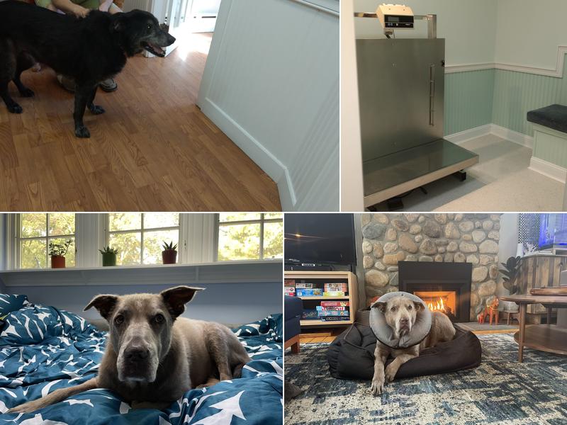 Manchester Veterinary Clinic