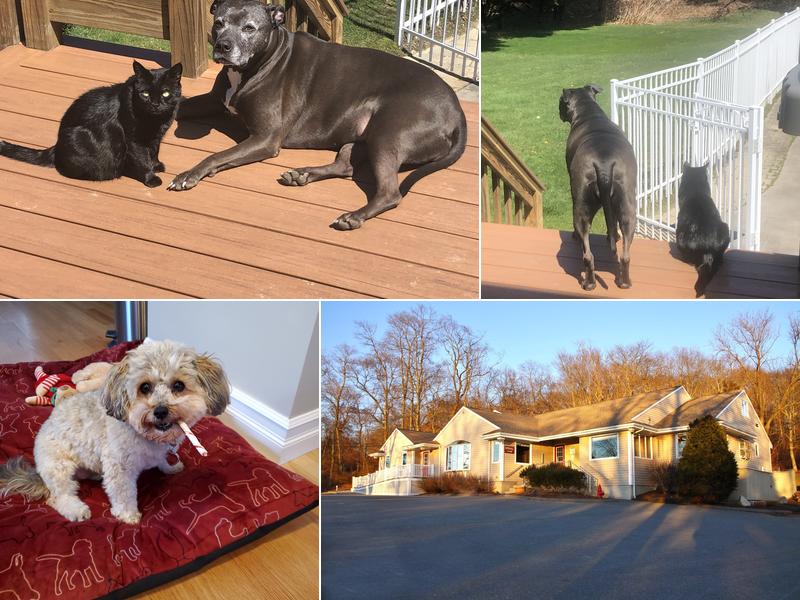 Sakonnet Veterinary Hospital