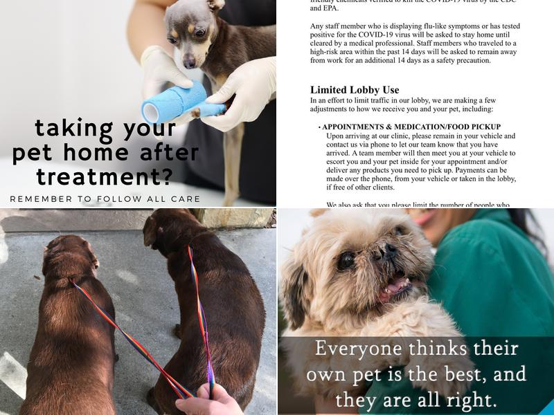 Pets First Veterinary Center: Wright Heather H DVM