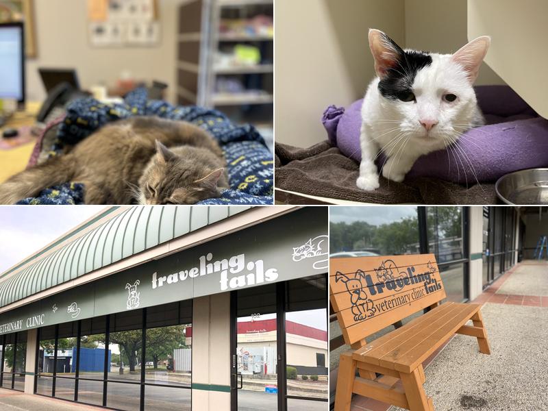 Traveling Tails Veterinary Clinic | Thousand Oaks