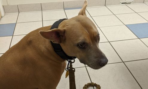 Texas Veterinary Hospital