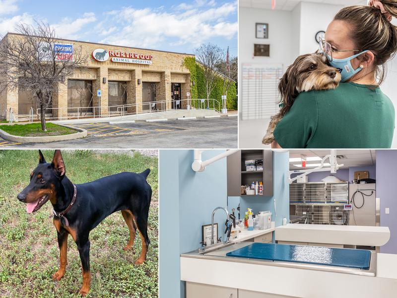 Northwood Animal Hospital