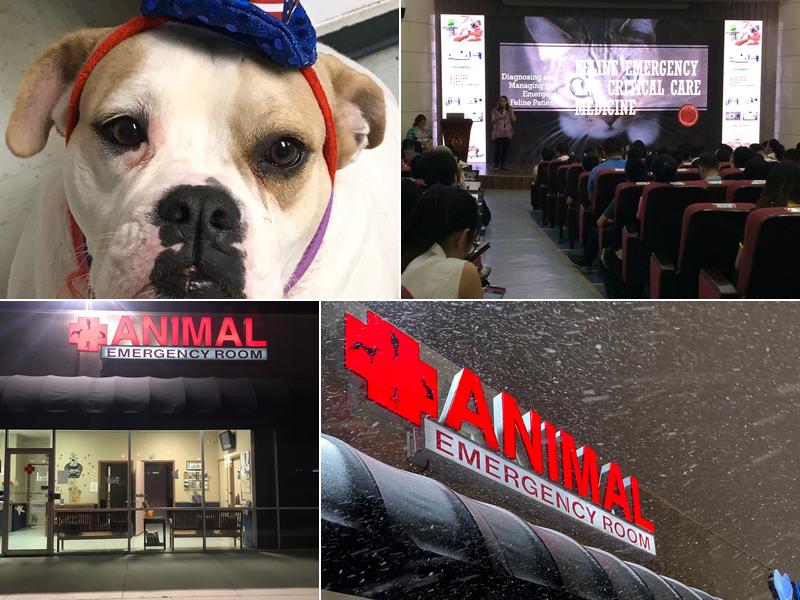 Animal Emergency Room