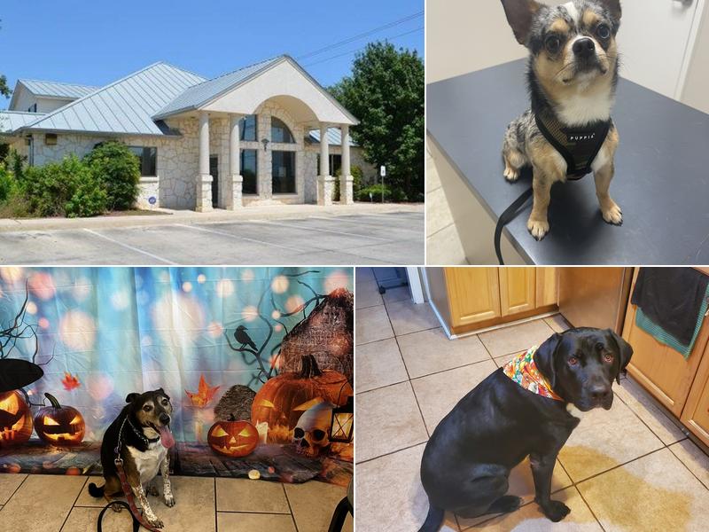 St. Francis Veterinary Hospital