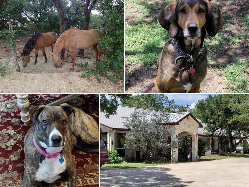 Hooves & Paws Veterinary Clinic