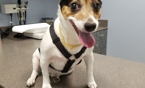 Boerne Stage Veterinary Clinic