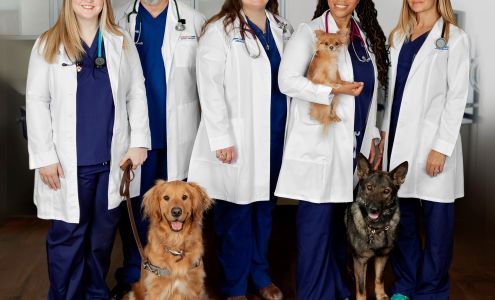 MissionVet Specialty & Emergency