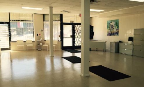 All About Animals Rescue