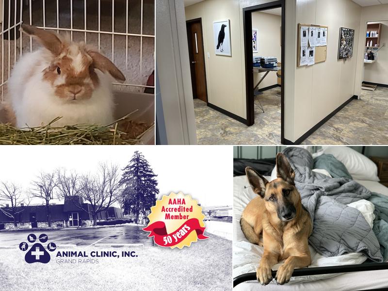 Animal Clinic, Inc. Grand Rapids