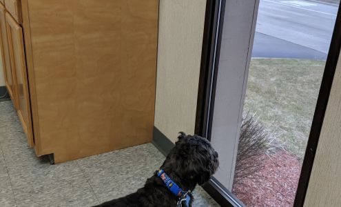 Kentwood Veterinary Clinic