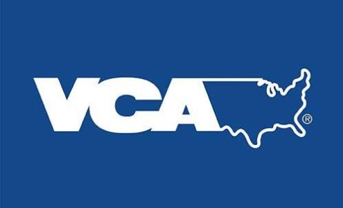 Leon Springs Animal Hospital