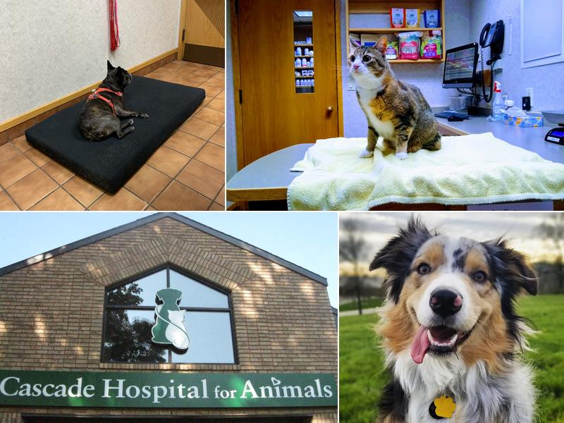 Cascade Hospital for Animals