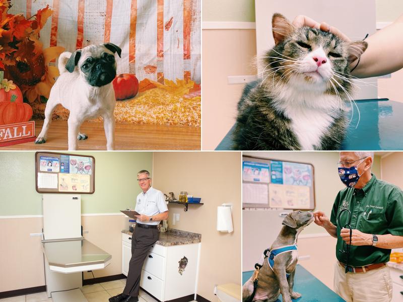 Pet Vaccination Clinic